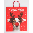 Набор новогодних крафтовых пакетов «С Новым годом тебя!» 9631244