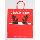 Набор новогодних крафтовых пакетов «С Новым годом тебя!» 9631244