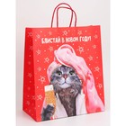 Набор новогодних крафтовых пакетов «С Новым годом тебя!» 9631244