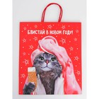 Набор новогодних крафтовых пакетов «С Новым годом тебя!» 9631244