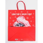 Набор новогодних крафтовых пакетов «С Новым годом тебя!» 9631244