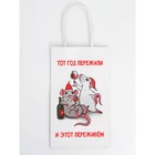 Набор новогодних крафтовых пакетов «С Новым годом тебя!» 9631244