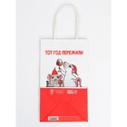 Набор новогодних крафтовых пакетов «С Новым годом тебя!» 9631244