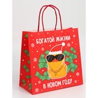 Набор новогодних крафтовых пакетов «С Новым годом тебя!» 9631244