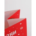 Набор новогодних крафтовых пакетов «С Новым годом тебя!» 9631244