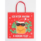 Набор новогодних крафтовых пакетов «С Новым годом тебя!» 9631244