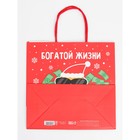 Набор новогодних крафтовых пакетов «С Новым годом тебя!» 9631244