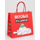 Набор новогодних крафтовых пакетов «С Новым годом тебя!» 9631244