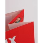 Набор новогодних крафтовых пакетов «С Новым годом тебя!» 9631244