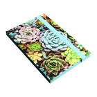 Записная книжка А6 96 листов в точку "Суккуленты", твёрдая обложка, матовая ламинация, на резинке, блок офсет 60 г/м2 - фото 24544620