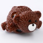 Мялка-антистресс «Медвежонок» + подарок, цвета  МИКС, с гидрогелем - Фото 2