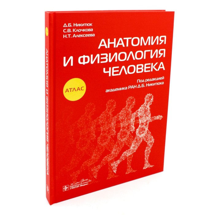 Анатомия и физиология человека. Никитюк Д.Б., Клочкова С.В., Алексеева Н.Т. - Фото 1