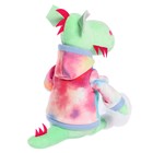 Мягкая игрушка «Дракончик Лайм в толстовке», 25 см, цвет салатовый - Фото 3