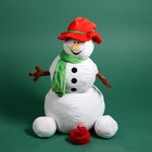 Подарочный набор "Снеговик", 300г - фото 4834323