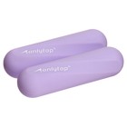 Гантели ONLYTOP для универсального отягощения, 2 шт., 0,5 кг, цвет фиолетовый - фото 320173580