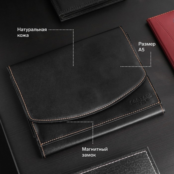 Папка для автодокументов Cartage, натуральная кожа, черная, 22×18×4.5 см