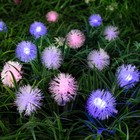 УЦЕНКА Гирлянда «Нить» 4.5 м с насадками «Ёжики», IP44, тёмная нить, 30 LED, свечение синие/фиолетовое/розовое, 2 режима, солнечная батарея - Фото 1