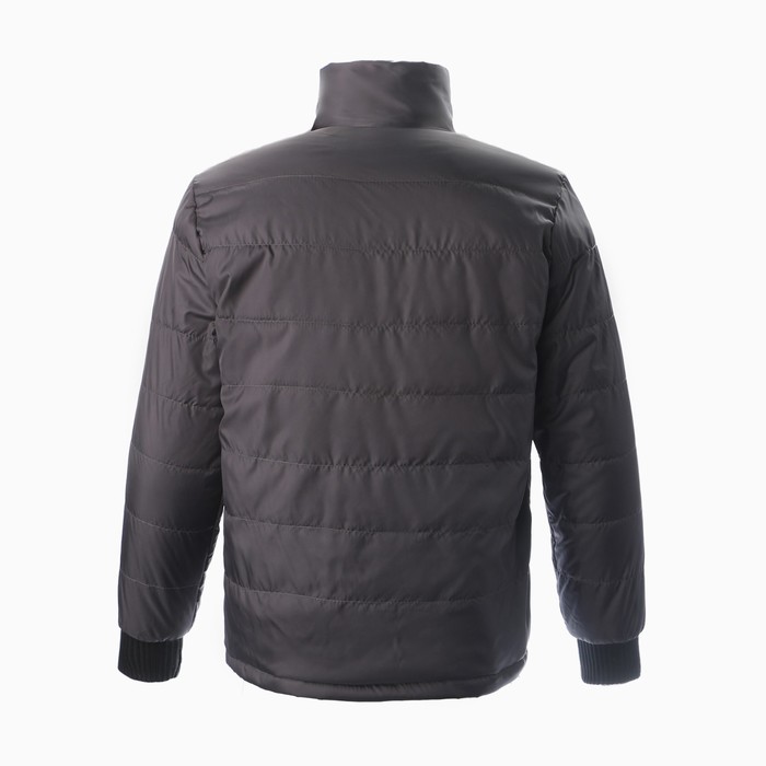 Куртка мужская демисезоная, цвет серый, размер 50