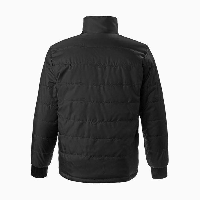 Куртка мужская демисезоная, цвет черный, размер 56