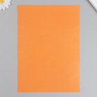 Набор цветной бумаги "Кактусы"  А4 2-сторонняя мелованная, 20 листов 10 цветов 20х28 см - фото 7818202