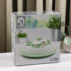 УЦЕНКА Блинница Доляна «Весенний вечер», d=23 см, цвет белый - Фото 5