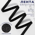 Лента бархатная, с серебряным люрексом, 6 мм, 18 ± 1 м, цвет чёрный №03 9626583 - фото 10558447