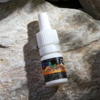 Подвеска деревянная Медведь + аромамасло Апельсин 5 мл, Зип-лок - Фото 5