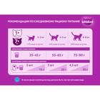 Сухой корм Whiskas для кошек, говядина паштет, подушечки, 13.8 кг - Фото 4