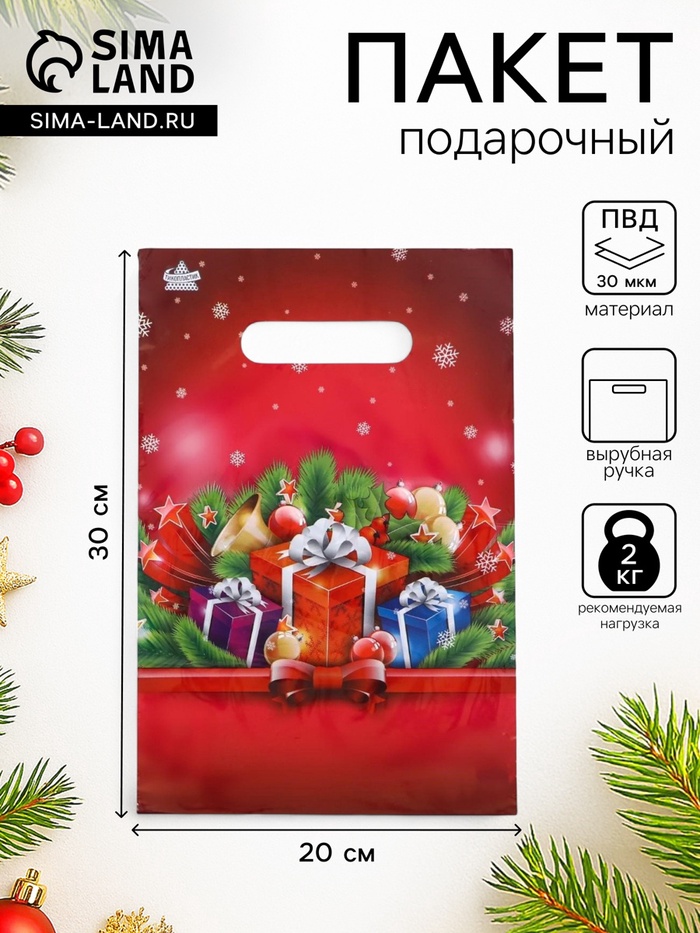 Пакет подарочный новогодний «Малиновый подарок», полиэтиленовый с вырубной ручкой, 20×30 см - Фото 1