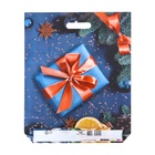 Пакет подарочный новогодний «Подарок с апельсинами», полиэтиленовый с вырубной ручкой, 47.5×39 см - Фото 2