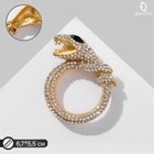 Брошь «Змея» кольцом, цвет чёрно-белый в матовом золоте - фото 11075540