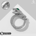 Брошь «Змея» кольцом, цвет бело-зелёный в серебре - фото 4743395
