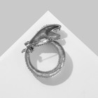 Брошь «Змея» кольцом, цвет бело-зелёный в серебре - фото 7457004