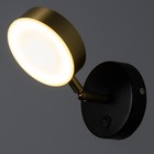 Бра "Амадис" LED 5Вт черно-золотой 10х10 см - фото 22888947