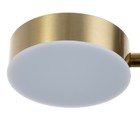 Бра "Амадис" LED 5Вт черно-золотой 10х10 см - фото 22888951