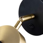 Бра "Амадис" LED 5Вт черно-золотой 10х10 см - фото 22888952