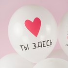 Шар латексный 12" «Моя любимка» белый, пастель, 1 ст., набор 25 шт., МИКС 9946224 - фото 16438953