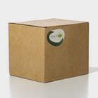 Чайник заварочный стеклянный BellaTenero «Круиз», 1 л, с бамбуковой крышкой и металлическим фильтром, цвет золотой - Фото 7