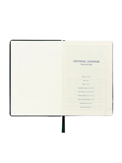 Ежедневник датированный Calligrata, А5, 2026, твёрдая обложка из искусственной кожи «Небраска», 168 листов, зелёный