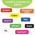 Обучающая книга «Учим цвета», казахский язык, 20 стр. - фото 3911683