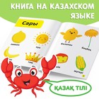 Обучающая книга «Учим цвета», казахский язык, 20 стр. - фото 3911684