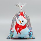 Пакет пластиковый «Снеговичок», 20 х 30 см, Новый год - фото 320264548