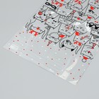 Пакет пластиковый «Киса», 20 × 30 см - Фото 3