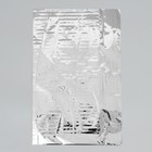 Пакет пластиковый «Киса», 20 × 30 см - Фото 4