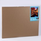 Картина по номерам на холсте с подрамником «Вечерний мост», 40 х 50 см - Фото 6