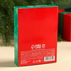 Леденцы в коробке-книжке «Список планов на НГ», 60 г. - фото 24442559