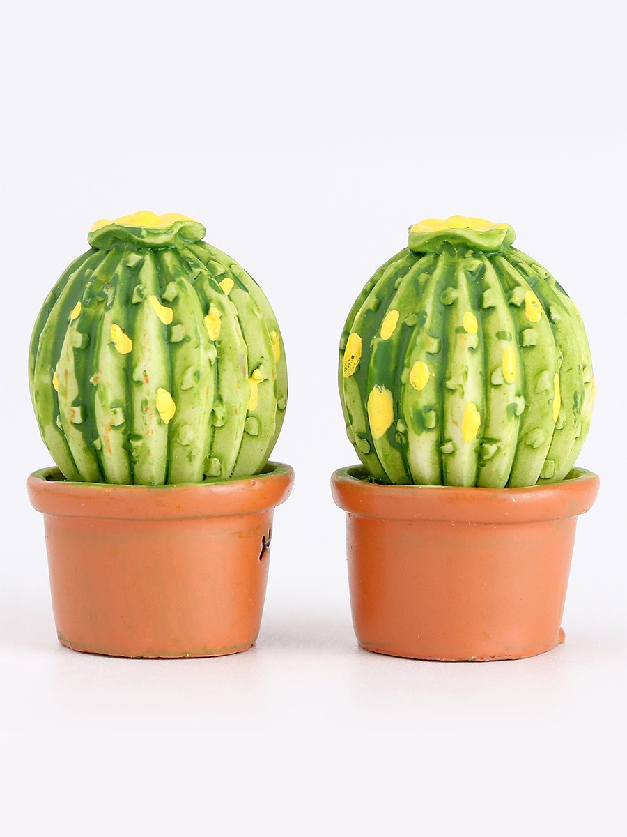 Кактусы Купить Интернет Магазин Недорого