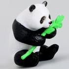 Миниатюра кукольная «Панда с бамбуком» - фото 7493052