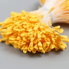 Тычинки для цветов "Жёлтый" набор 360 шт длина 6 см - фото 25717579