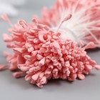 Тычинки для цветов "Розовый" набор 360 шт длина 6 см - фото 7458155